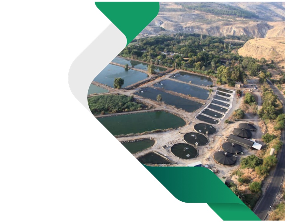 The Problem - Fish Farming Challenges